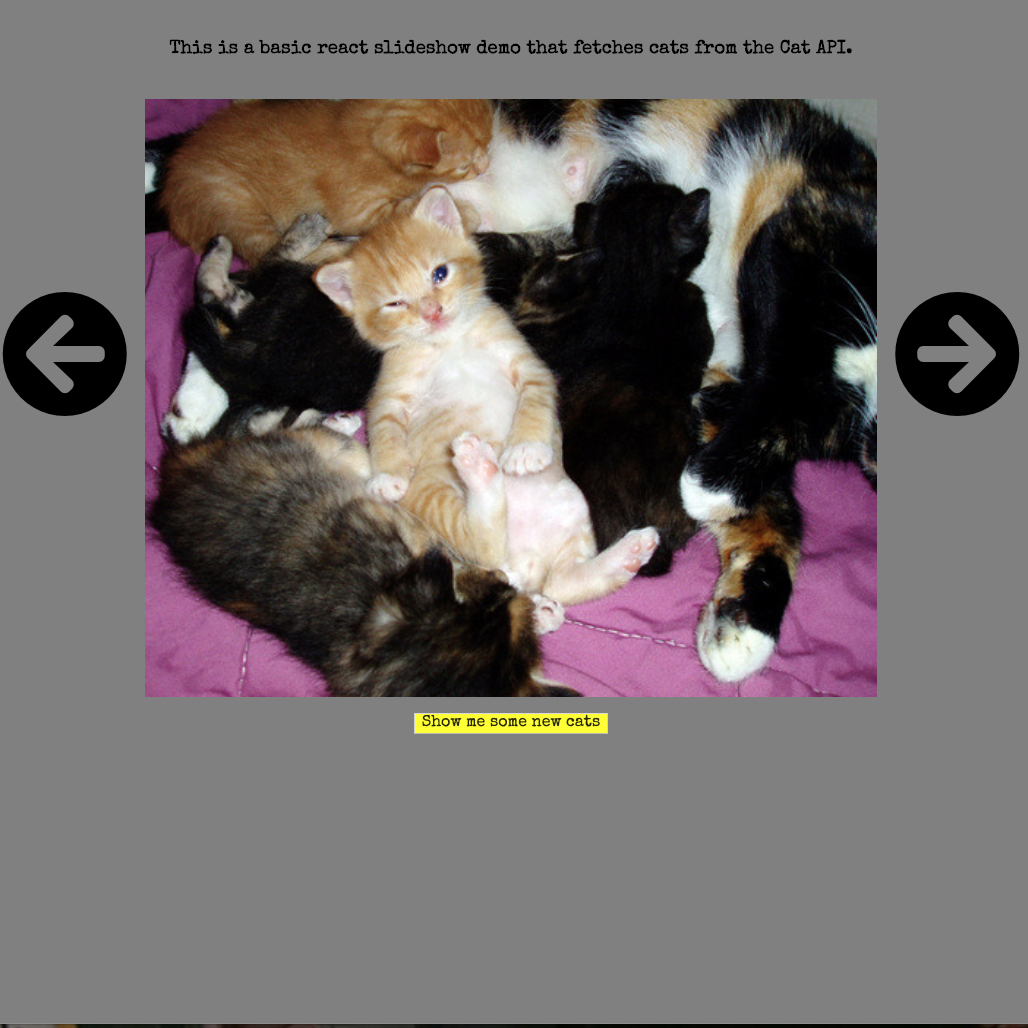 Kittens slideshow demo screenshot